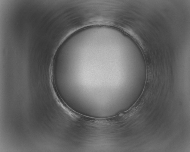X0000073441383200608181201