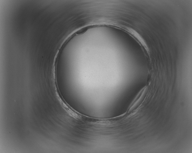 X0000073441388200608181201
