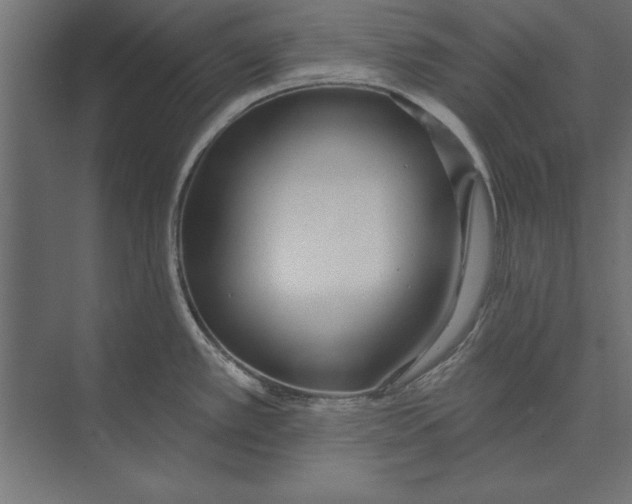 X0000073441389200608181201