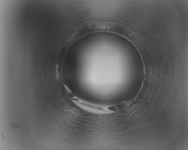 X0000073441394200608181200