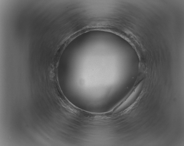 X0000073441449200608181200
