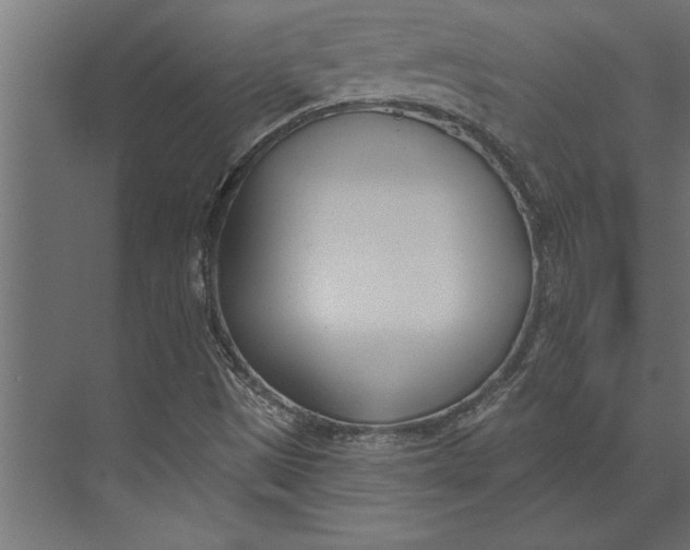 X0000073441497200608181159