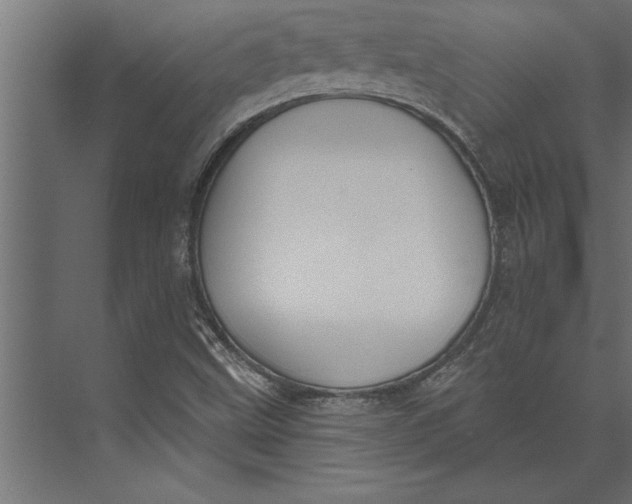 X0000073441499200608181159