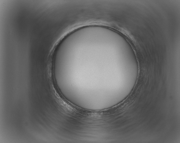 X0000073441504200608181159