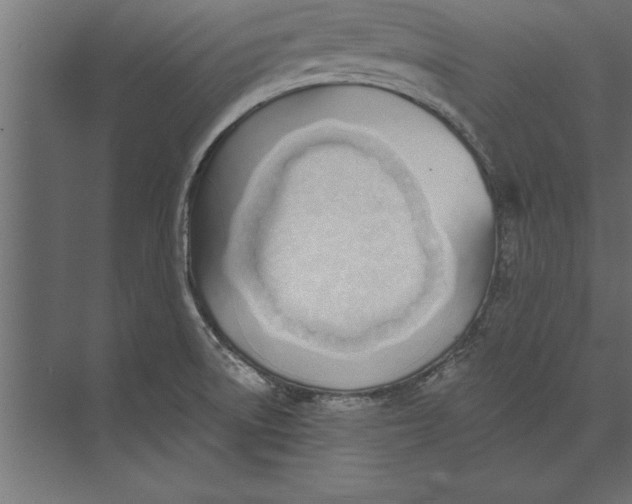 X0000073441522200608181159