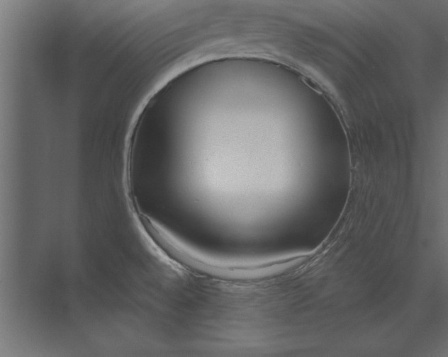 X0000073441528200608181159
