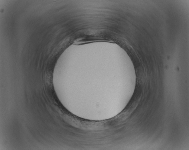X0000073440044200608251652