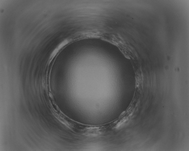 X0000073440052200608251651
