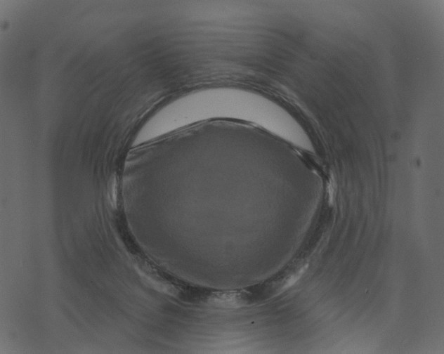 X0000073440076200608251651