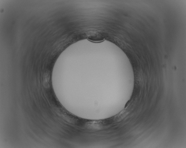 X0000073440082200608251651