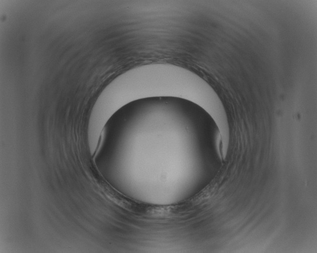 X0000073440084200608251651