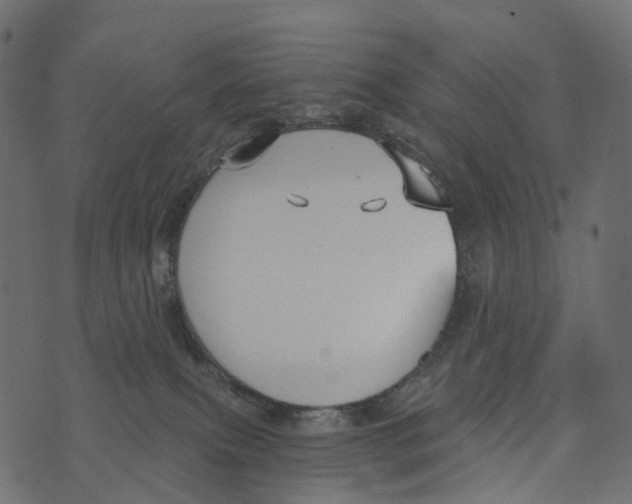 X0000073440087200608251651