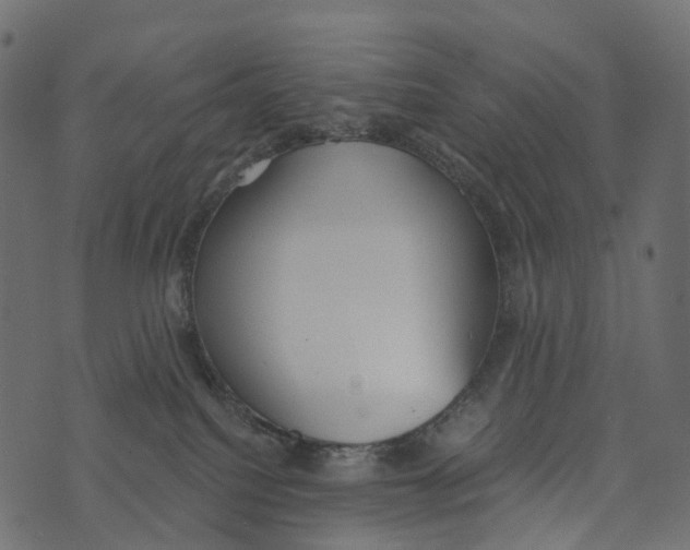 X0000073440088200608251651