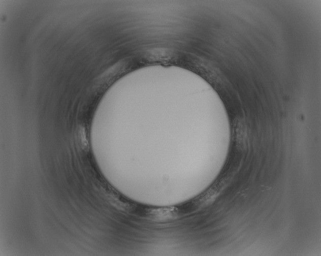 X0000073440089200608251651