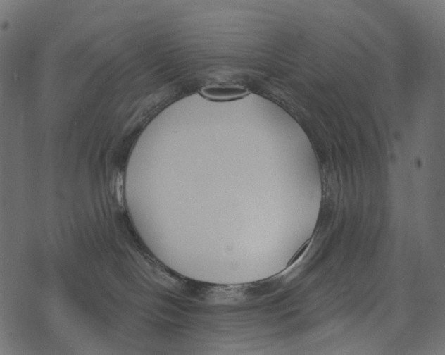 X0000073440094200608251651