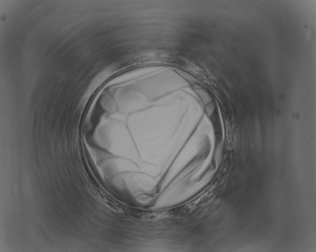 X0000073440099200608251651