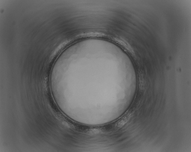 X0000073440111200608251650