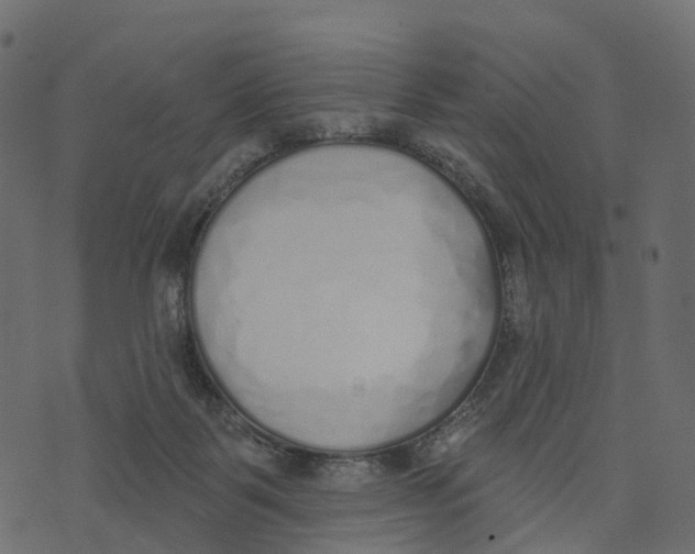 X0000073440123200608251650