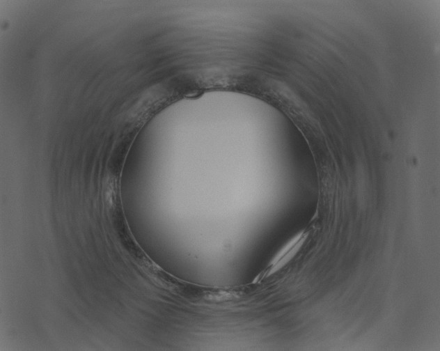 X0000073440125200608251650