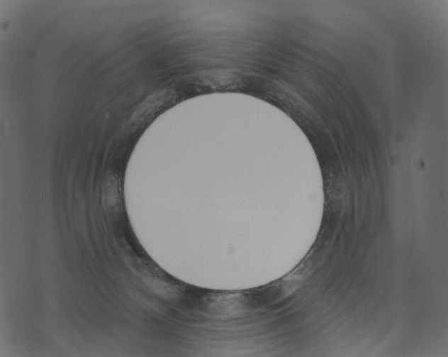 X0000073440132200608251650