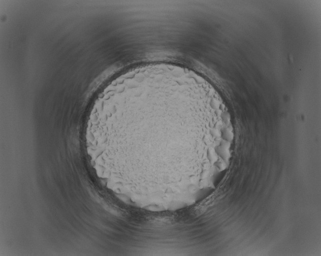X0000073440155200608251649