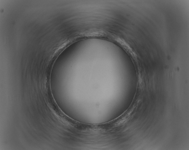 X0000073440201200608251649