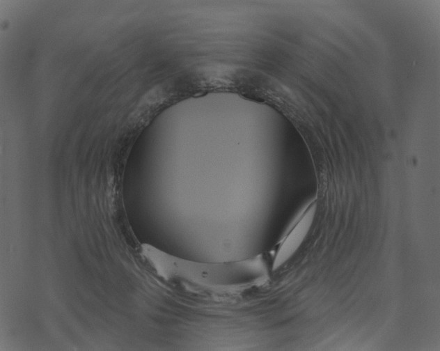X0000073440223200608251649