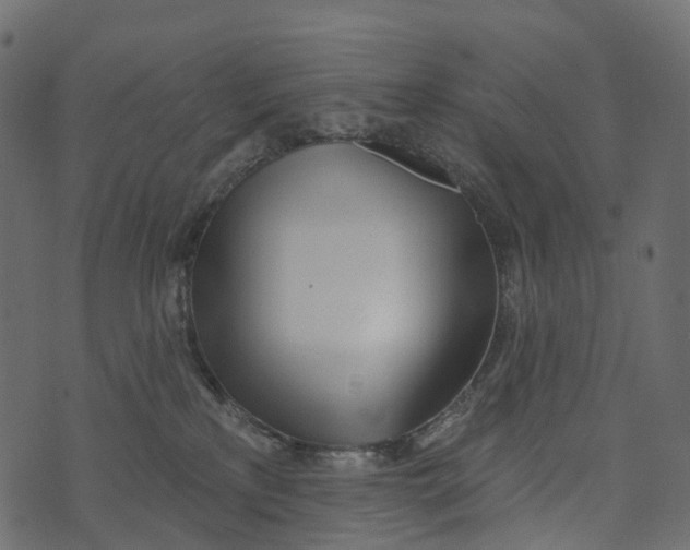 X0000073440233200608251648