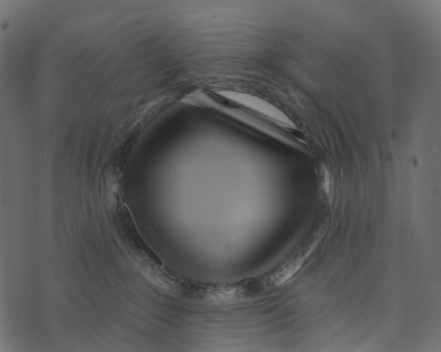 X0000073440235200608251648