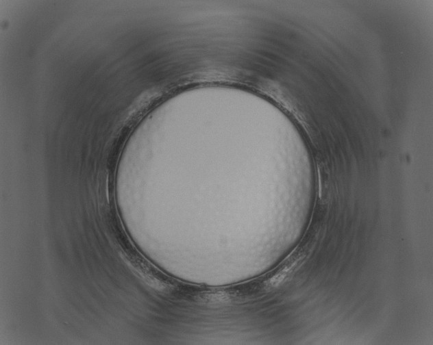 X0000073440253200608251648
