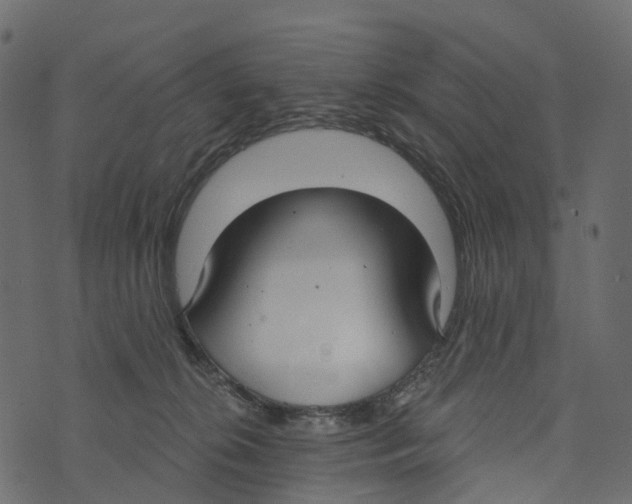 X0000073440276200608251648