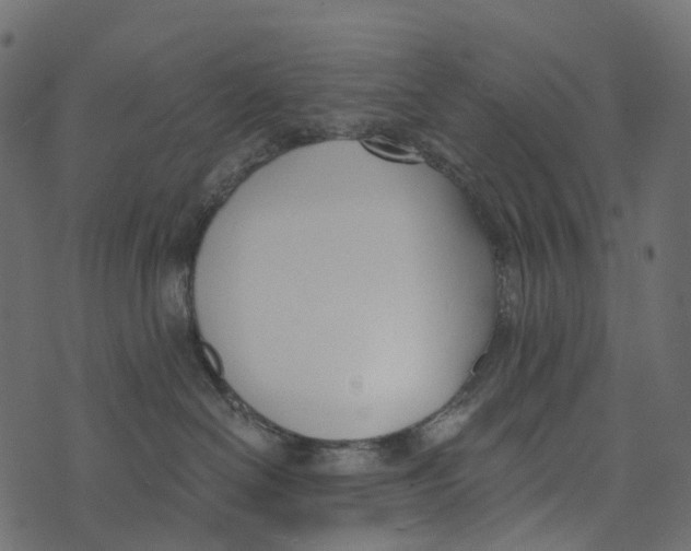 X0000073440286200608251648
