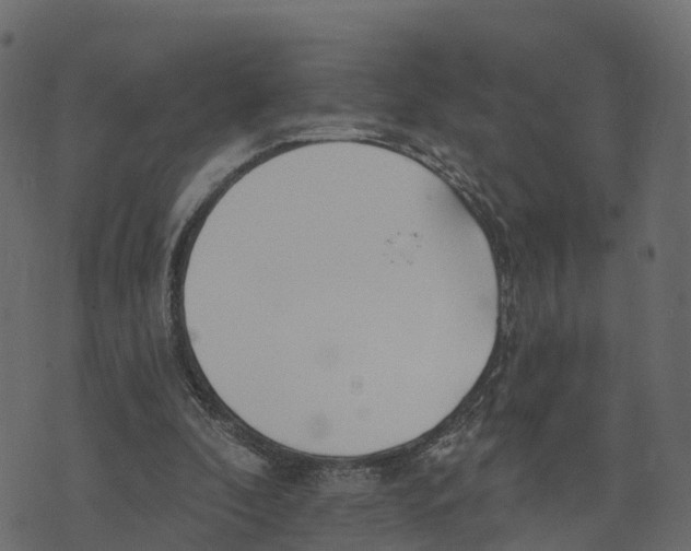 X0000073440296200608251647