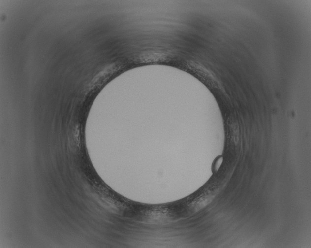 X0000073440308200608251647