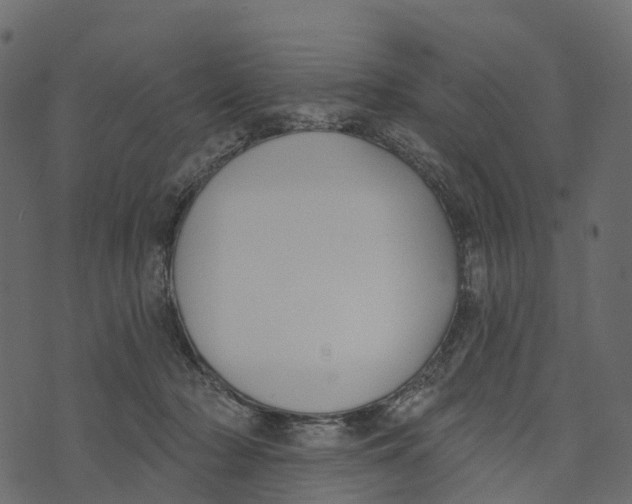 X0000073440318200608251647