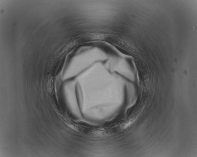 X0000073440325200608251647
