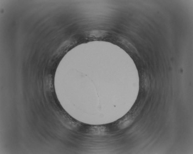 X0000073440328200608251647