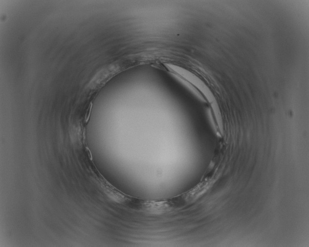 X0000073440333200608251647
