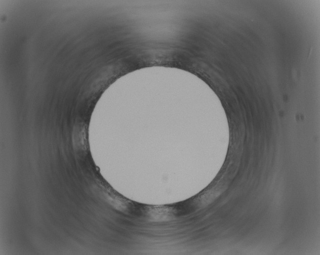 X0000073440336200608251647