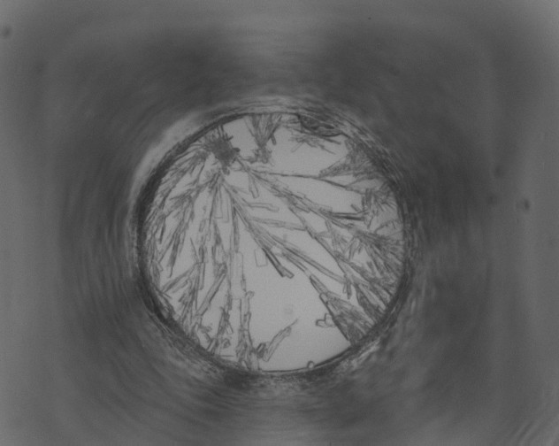 X0000073440343200608251646