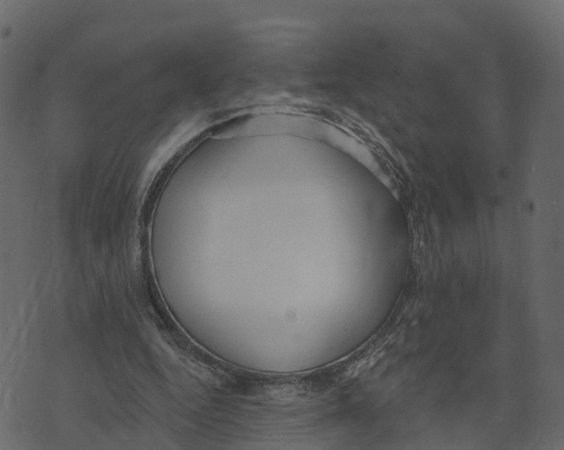 X0000073440344200608251646