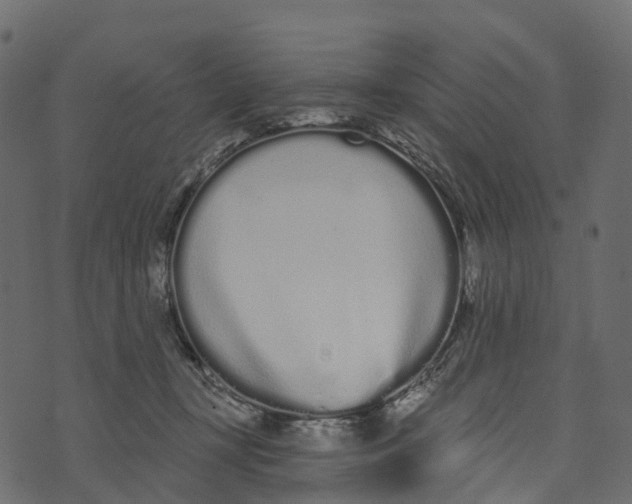 X0000073440367200608251646