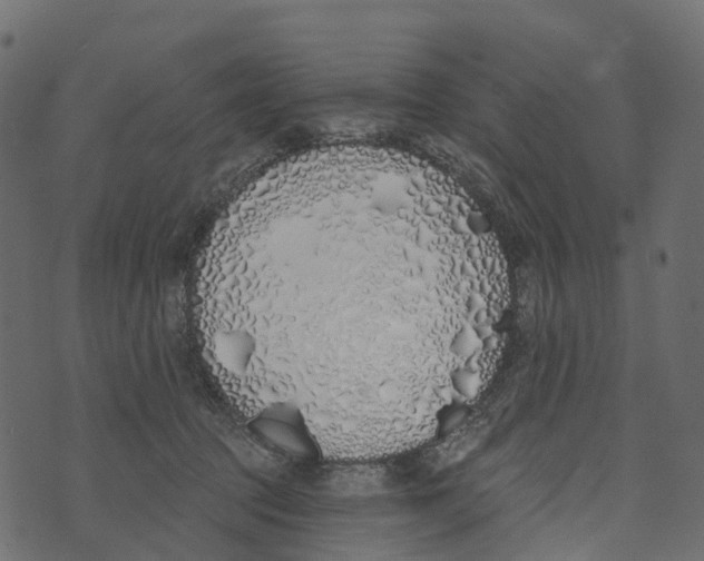 X0000073440369200608251646