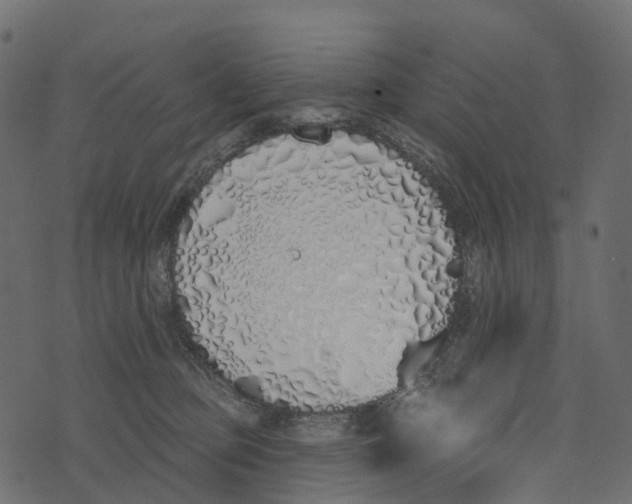 X0000073440373200608251646