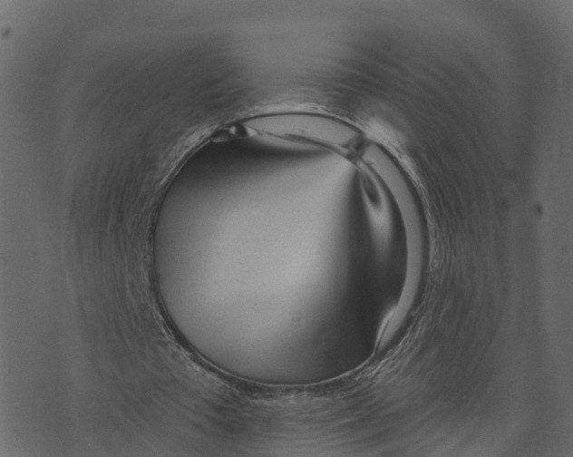 X0000073440385200608251646