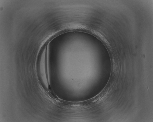 X0000073440391200608251646
