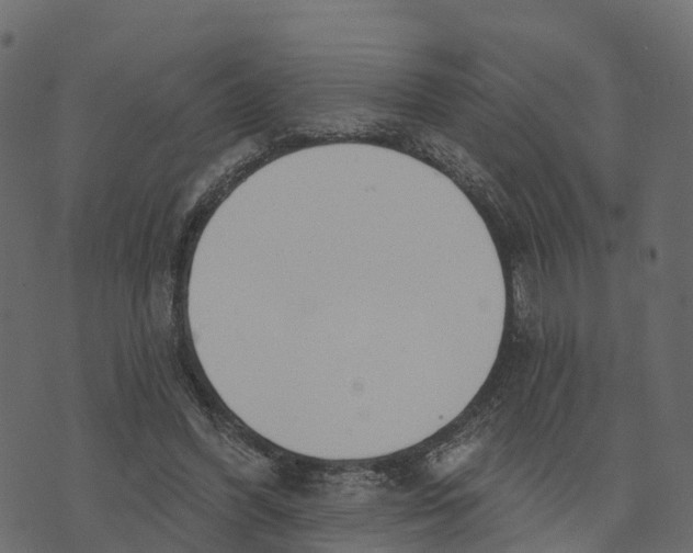 X0000073440396200608251646