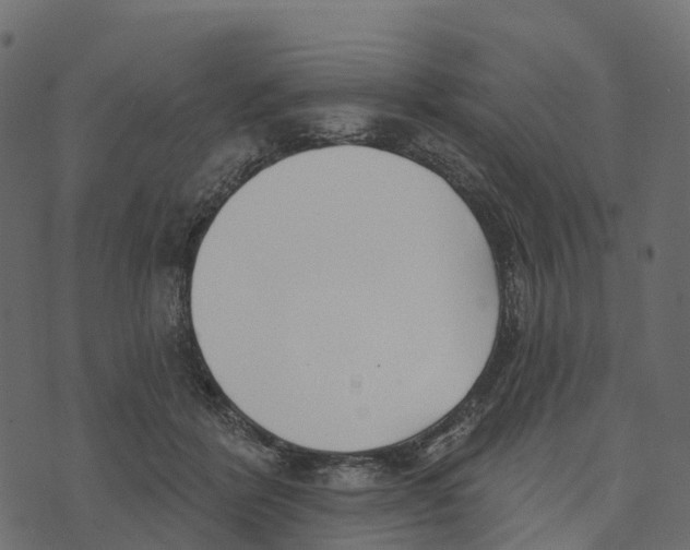 X0000073440412200608251645