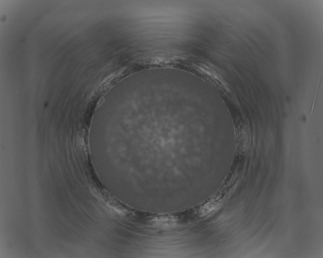 X0000073440415200608251645