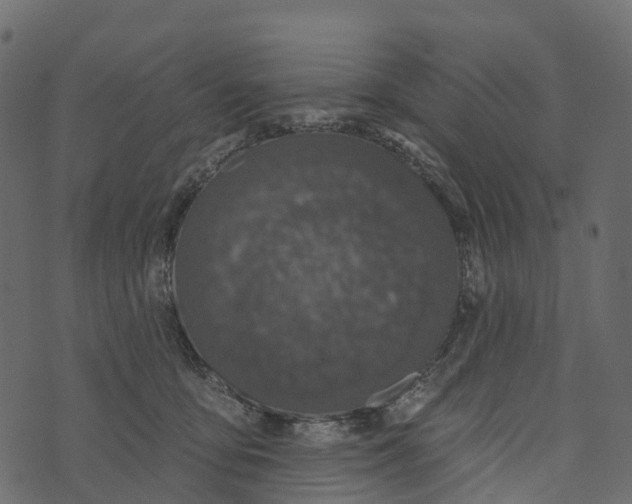 X0000073440419200608251645